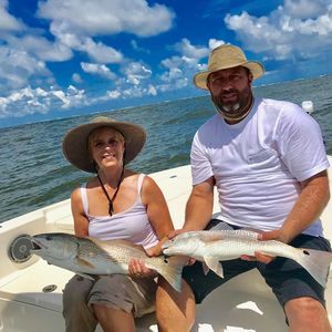 Meet your Posher, Robin